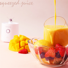 Portable and  Rechargeable  Mini  Juicer Blender